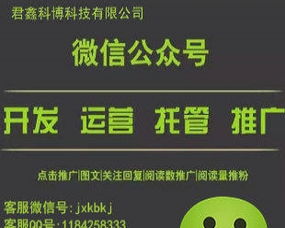 长春网络科技服务公司 专业网络技术服务的领航者